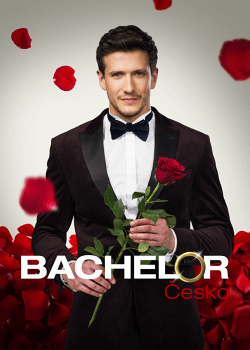 Bachelor esko na Voyo
